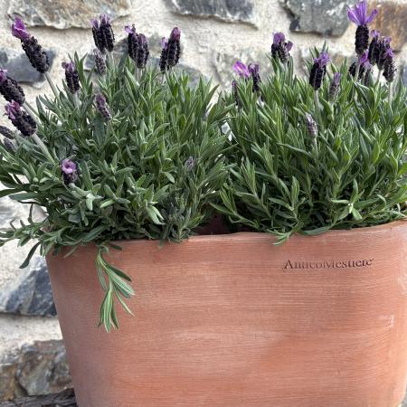 otevírací doba Velikonoce 2026